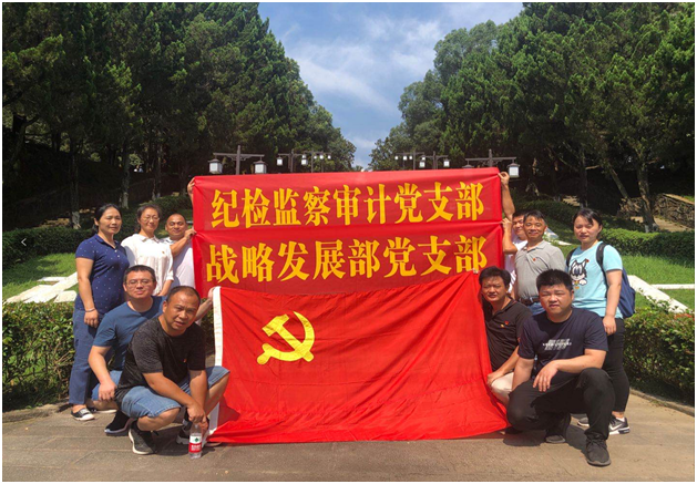 28圈集团,长沙杀虫剂,长沙光气衍生物,长沙氨基酸保护剂,长沙锂离子电池材料