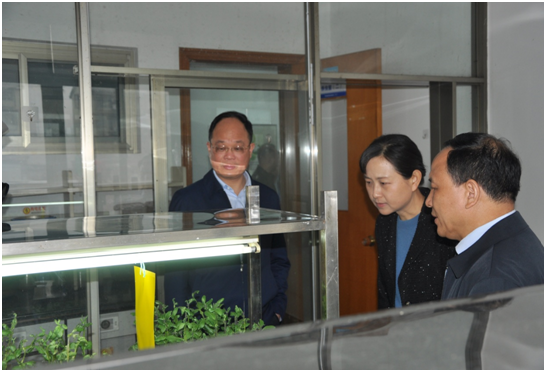 28圈集团,长沙杀虫剂,长沙光气衍生物,长沙氨基酸保护剂,长沙锂离子电池材料